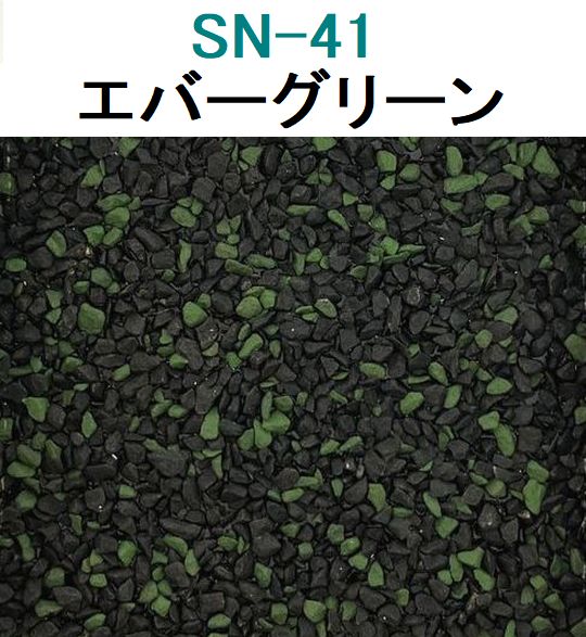 SN41 エバーグリーン