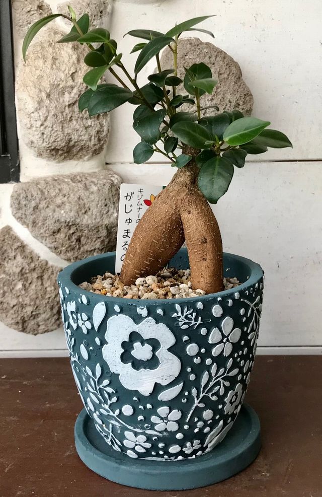 在庫限り・即納】北欧風のおしゃれな植木鉢 クッカ・ポット・M 直径１２ｃｍｘ高さ１１ｃｍ（受け皿含まず） フクショウ ｇａｒｄｅｎ