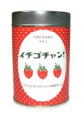 リトルガーデン2 イチゴチャン